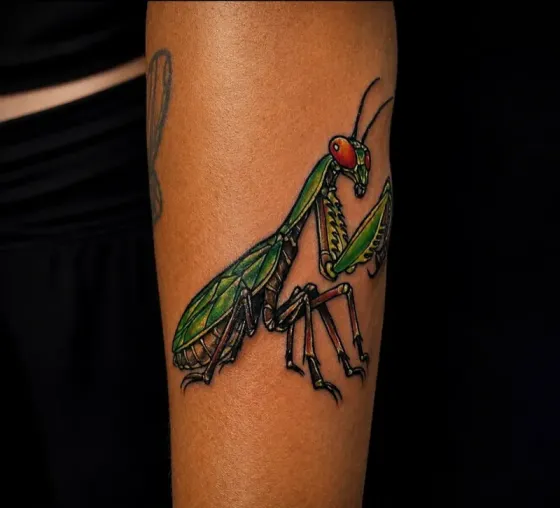 Praying mantis — Color realism tattoo on forearm